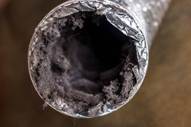 Best Local Air Duct Cleaning Services  in El Jon, CA